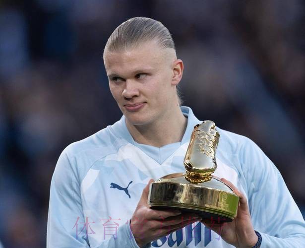 最新世界杯阿根廷哈兰德比赛解读全解析 最新世界杯阿根廷哈兰德比赛解读全解析